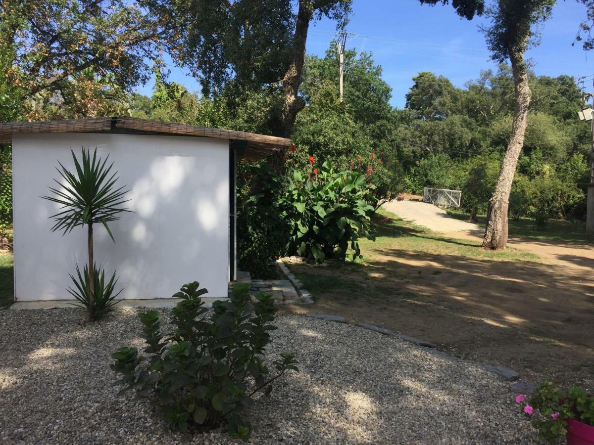 Residence Emilia 圣玛丽亚波焦 外观 照片